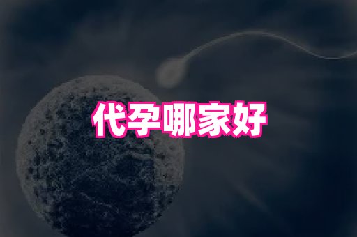 哈尔滨助孕网 1