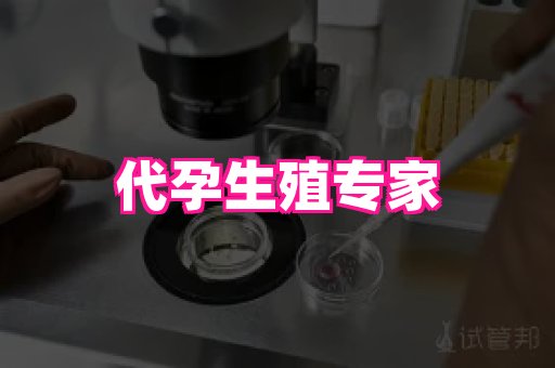 哈尔滨助孕网 4